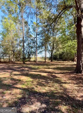 a view of a yard with plants and trees