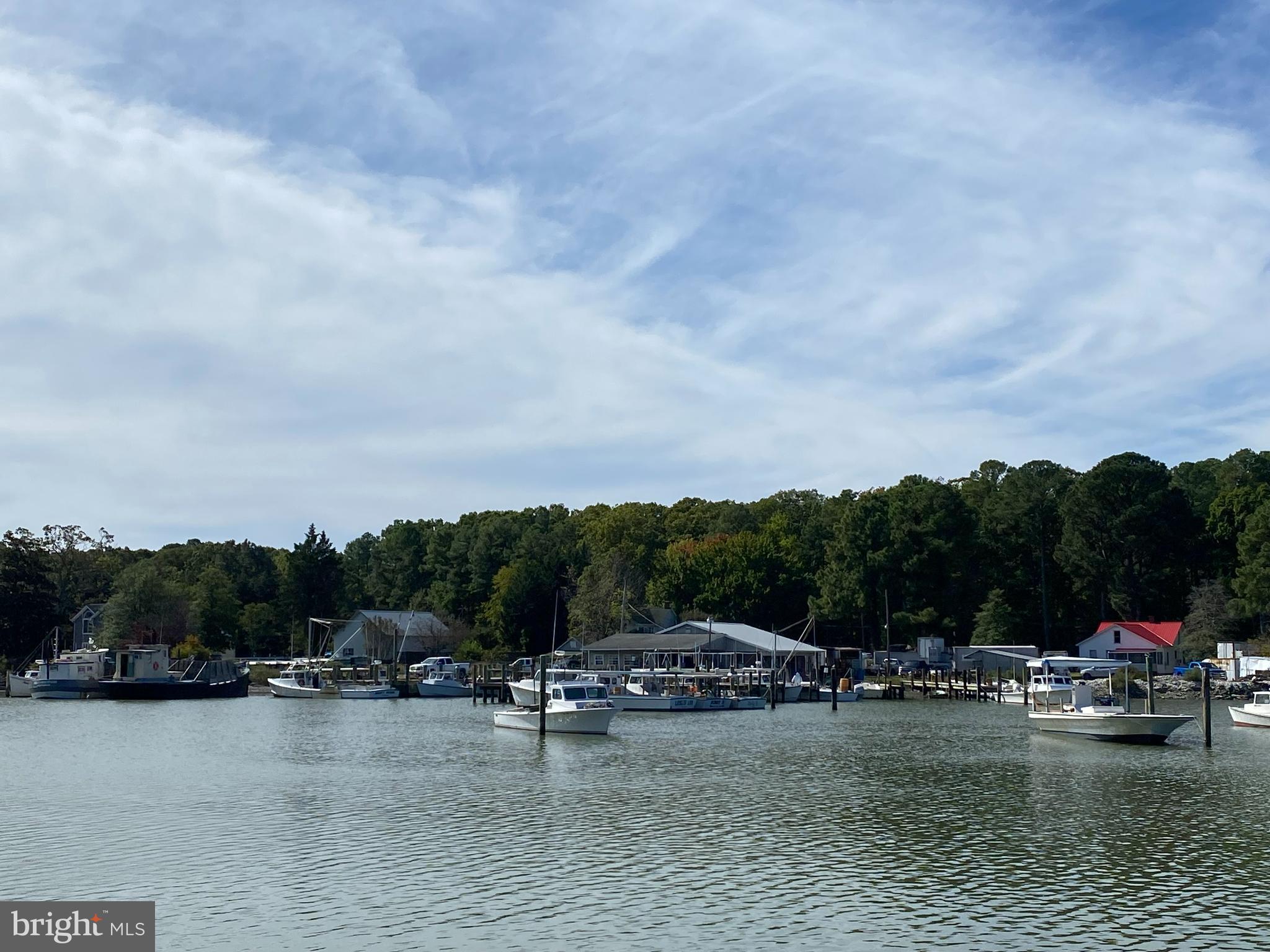 7722 Latchstring Lane Bozman, MD 21612 - Photo 7 of 41