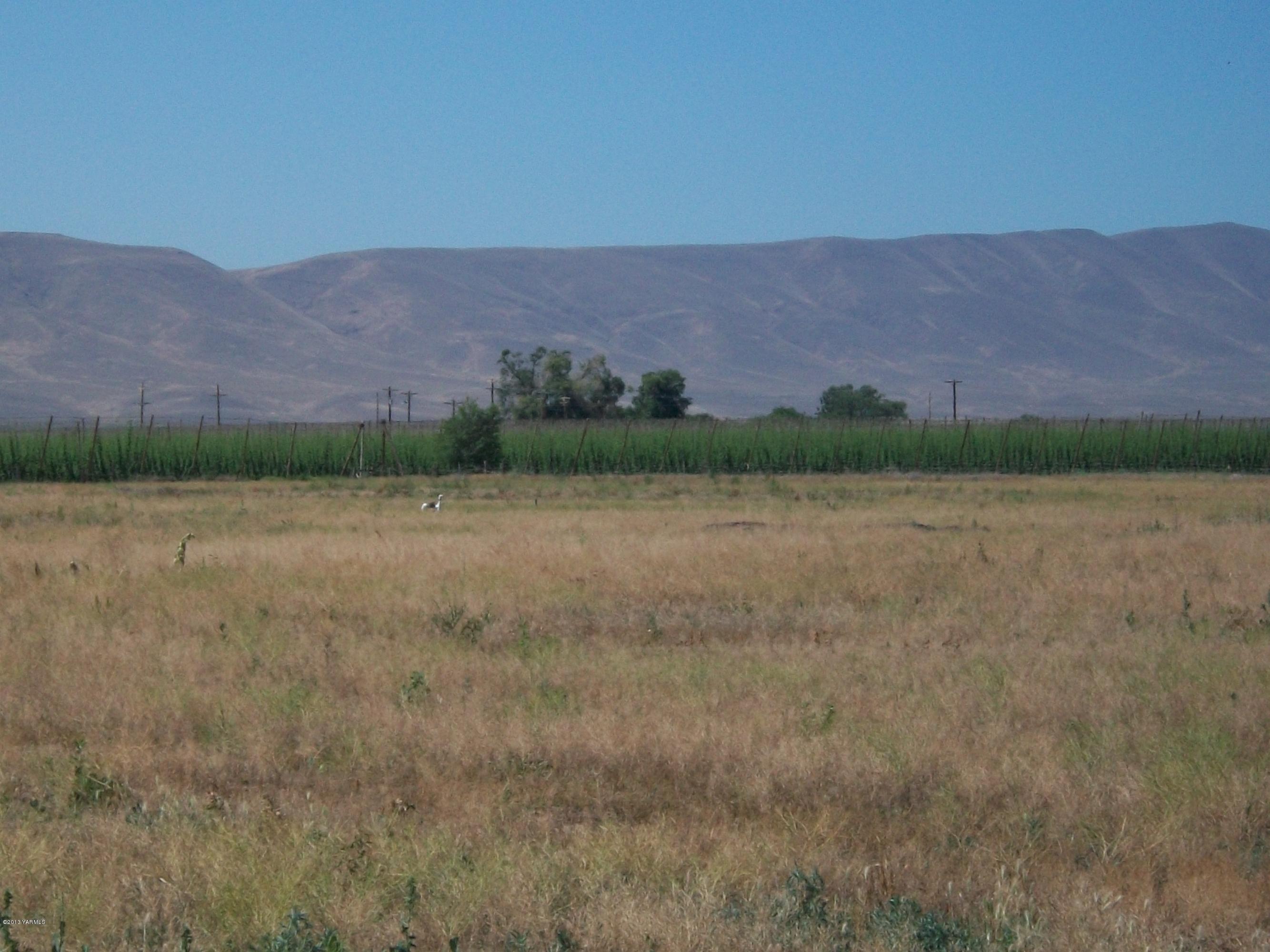 7600 Fort Road Wapato, WA 98951 - Photo 49 of 50 a view of a lake