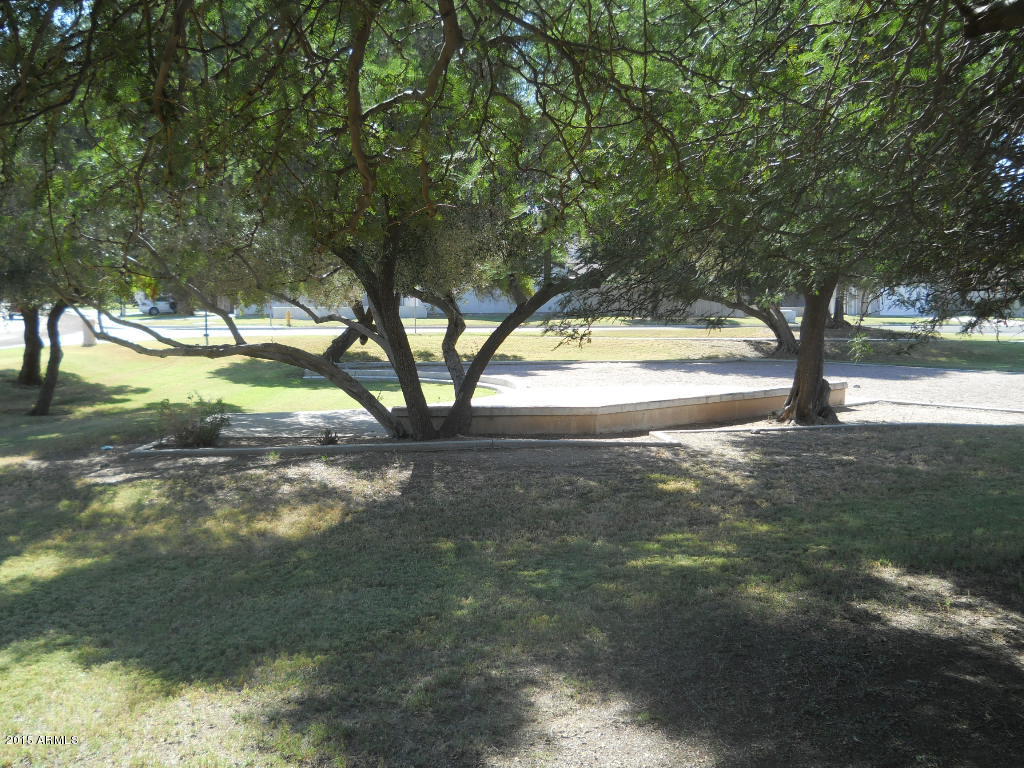 4357 East Carson Road Phoenix, AZ 85042 - Photo 20 of 21 a view of yard with trees