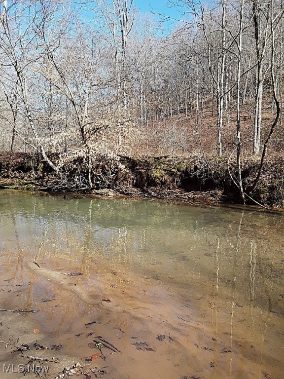 88 Ivy Road Walton, WV 25286 - Photo 28 of 37