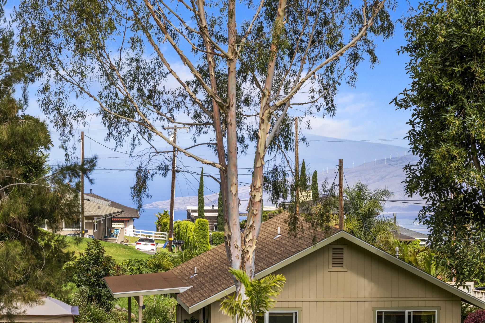 75 Ainakula Road, Unit A Kula, HI 96790 - Photo 28 of 45 a view of a house with a tree in the yard
