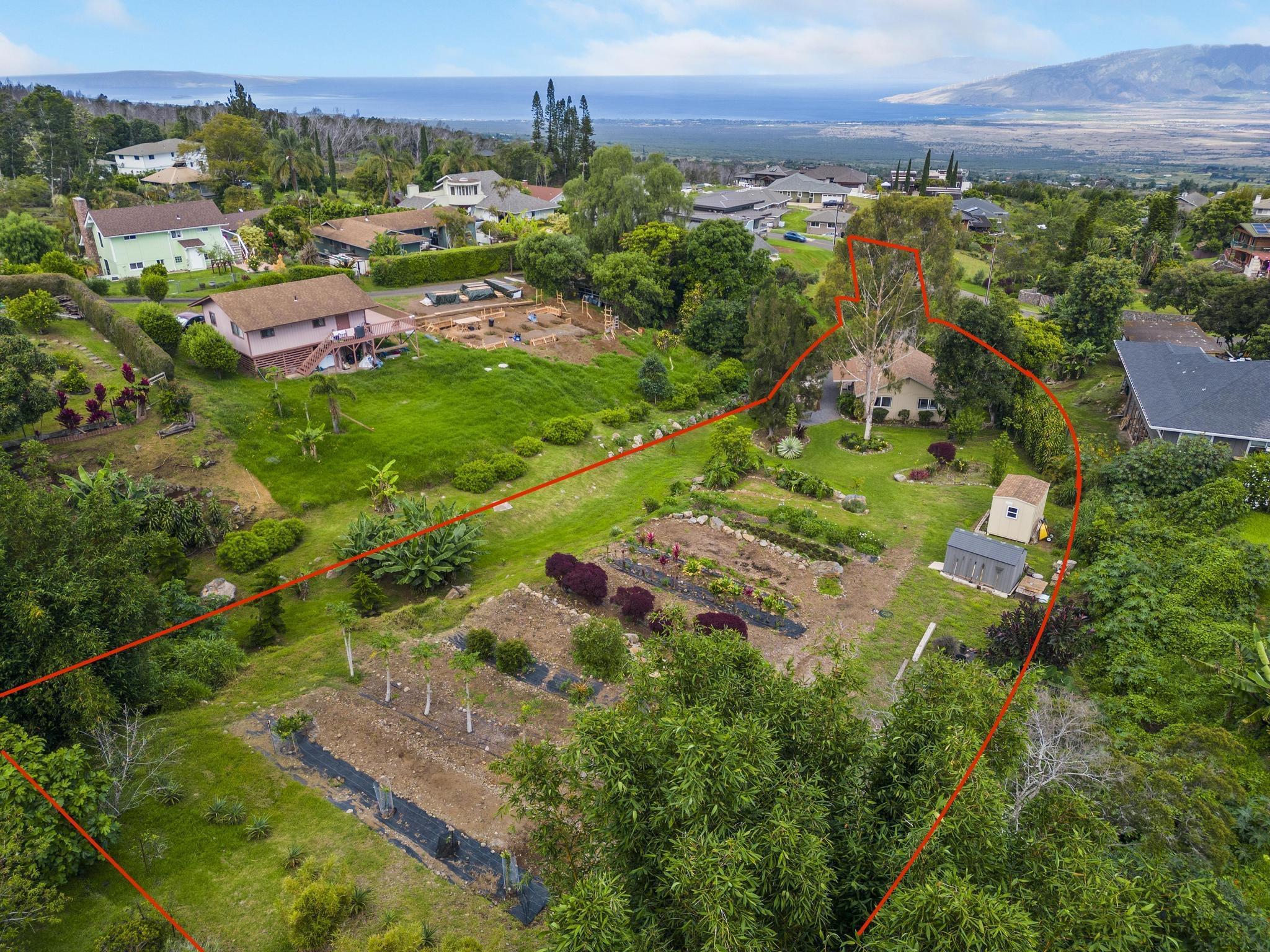 75 Ainakula Road, Unit A Kula, HI 96790 - Photo 37 of 45 an aerial view of residential houses with outdoor space and trees