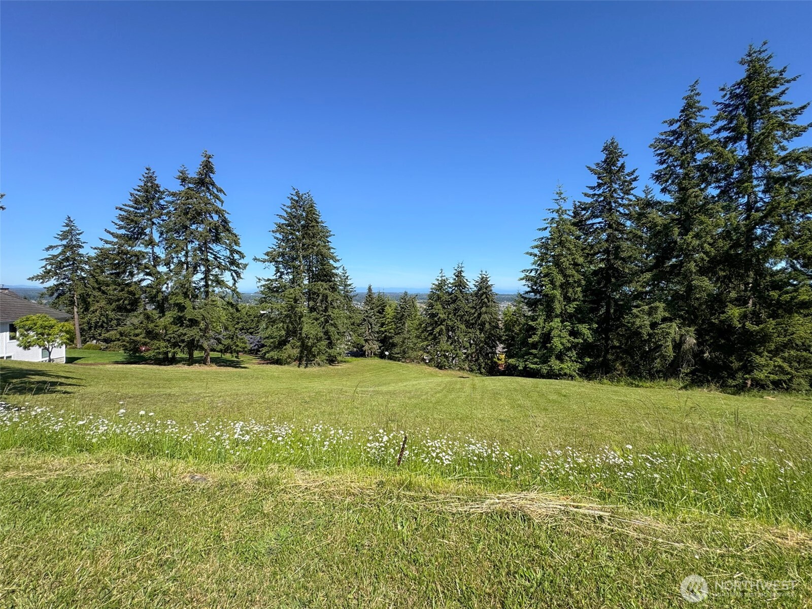 1 Owls Nest Road Sequim, WA 98382 - Photo 8 of 31 a view of a field with trees in the background