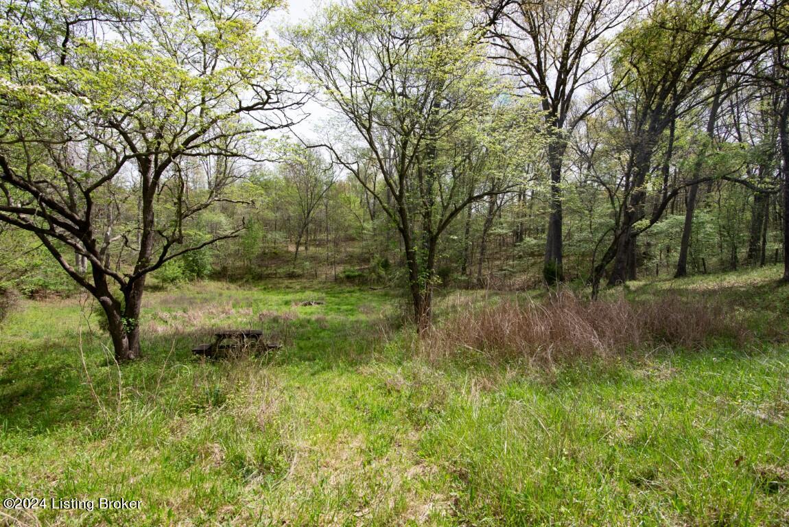 340 Christian Church Road Brandenburg, KY 40108 - Photo 52 of 53 340 Christian Church Rd-90