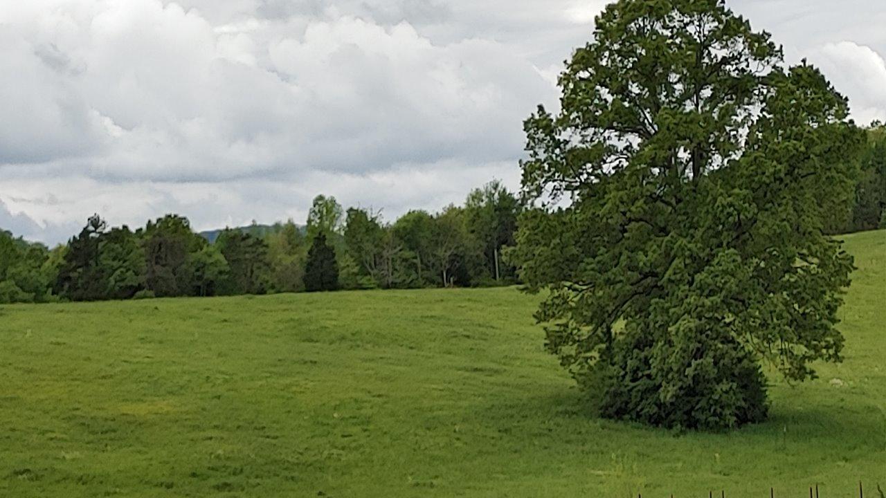 161 Everhart Road Tellico Plains, TN 37385 - Photo 1 of 7 20200430_135637_HDR