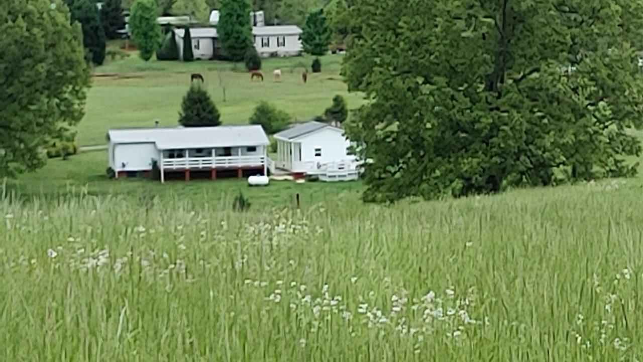 161 Everhart Road Tellico Plains, TN 37385 - Photo 4 of 7 20200430_133907