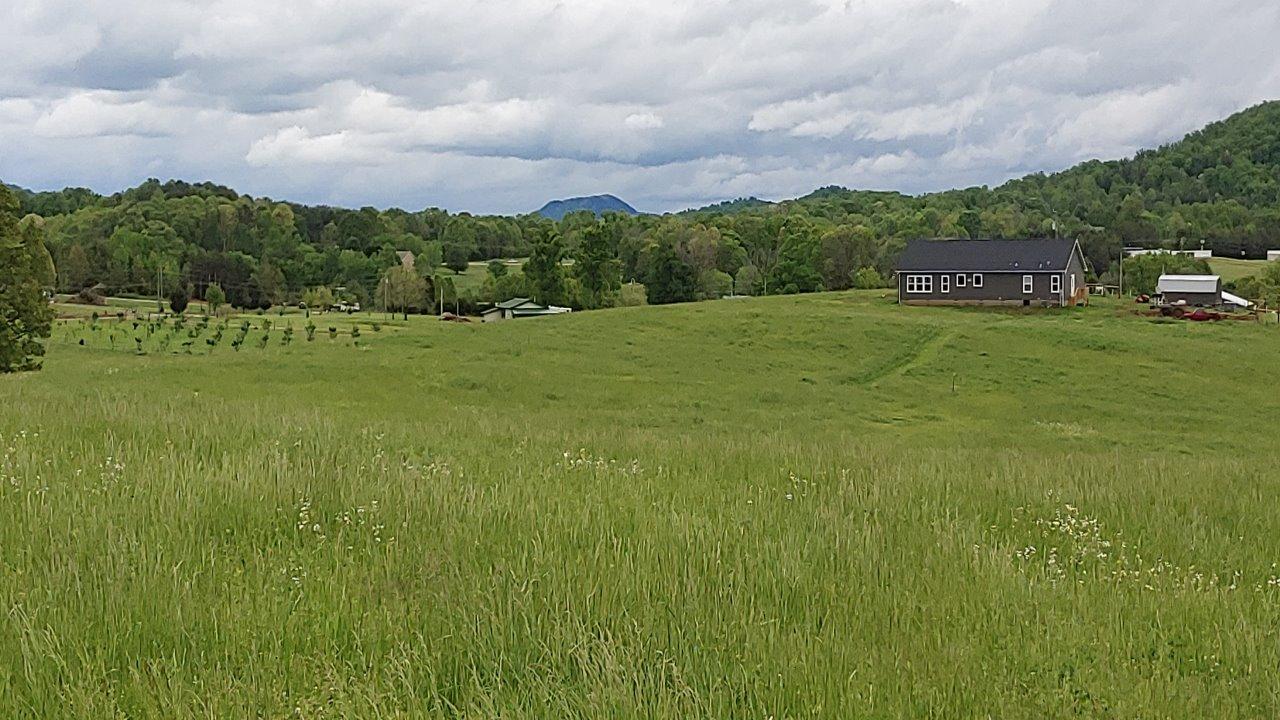 161 Everhart Road Tellico Plains, TN 37385 - Photo 6 of 7 20200430_133853