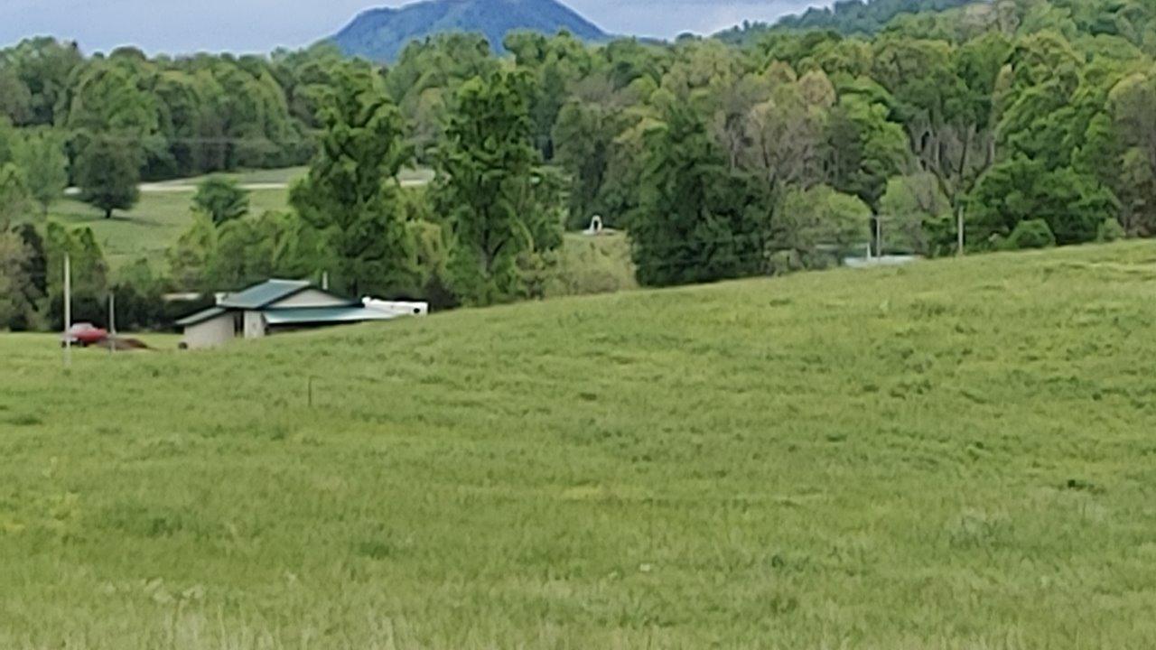 161 Everhart Road Tellico Plains, TN 37385 - Photo 7 of 7 20200430_133902