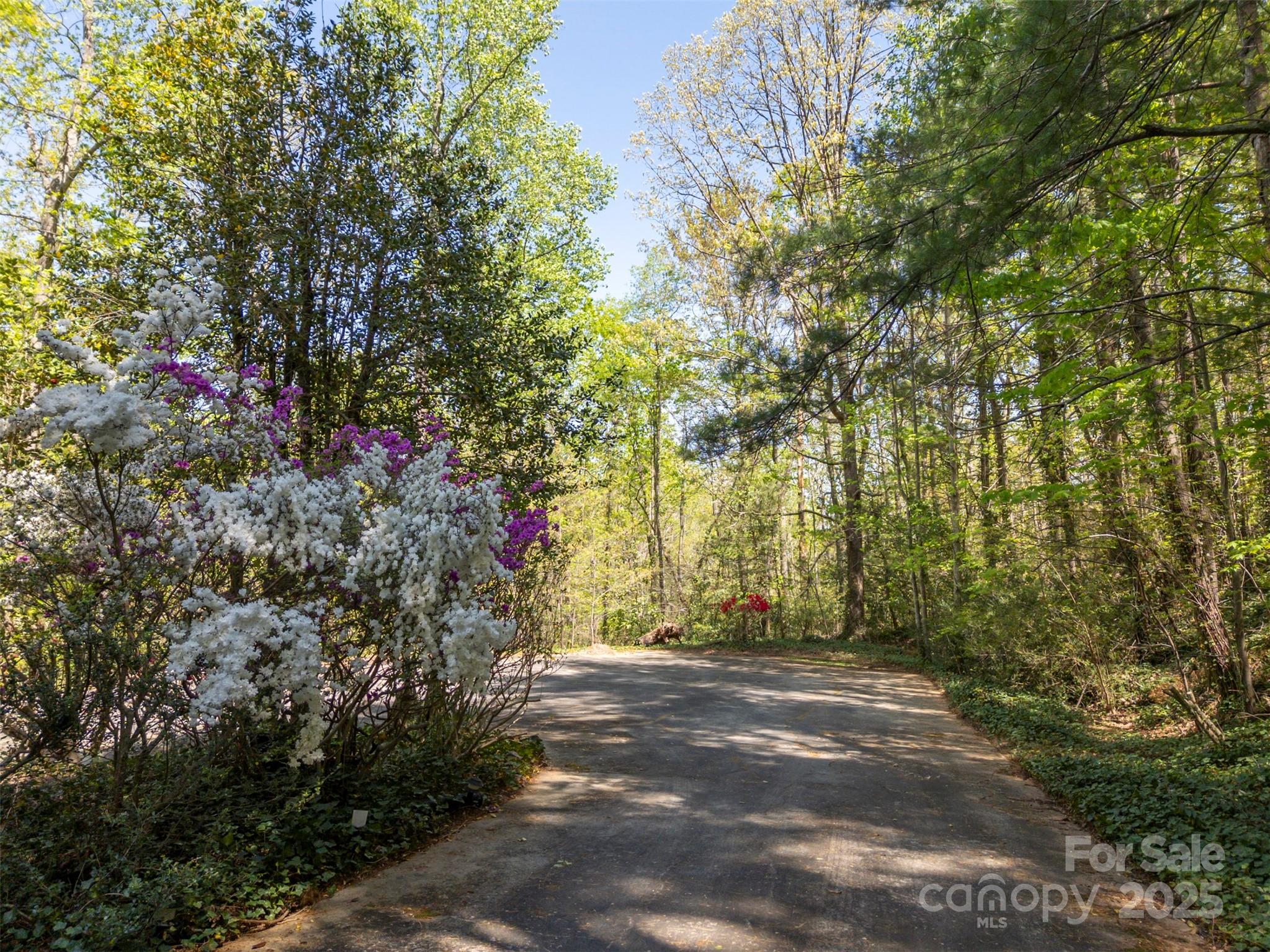320 Hillswick Road Tryon, NC 28782 - Photo 26 of 31