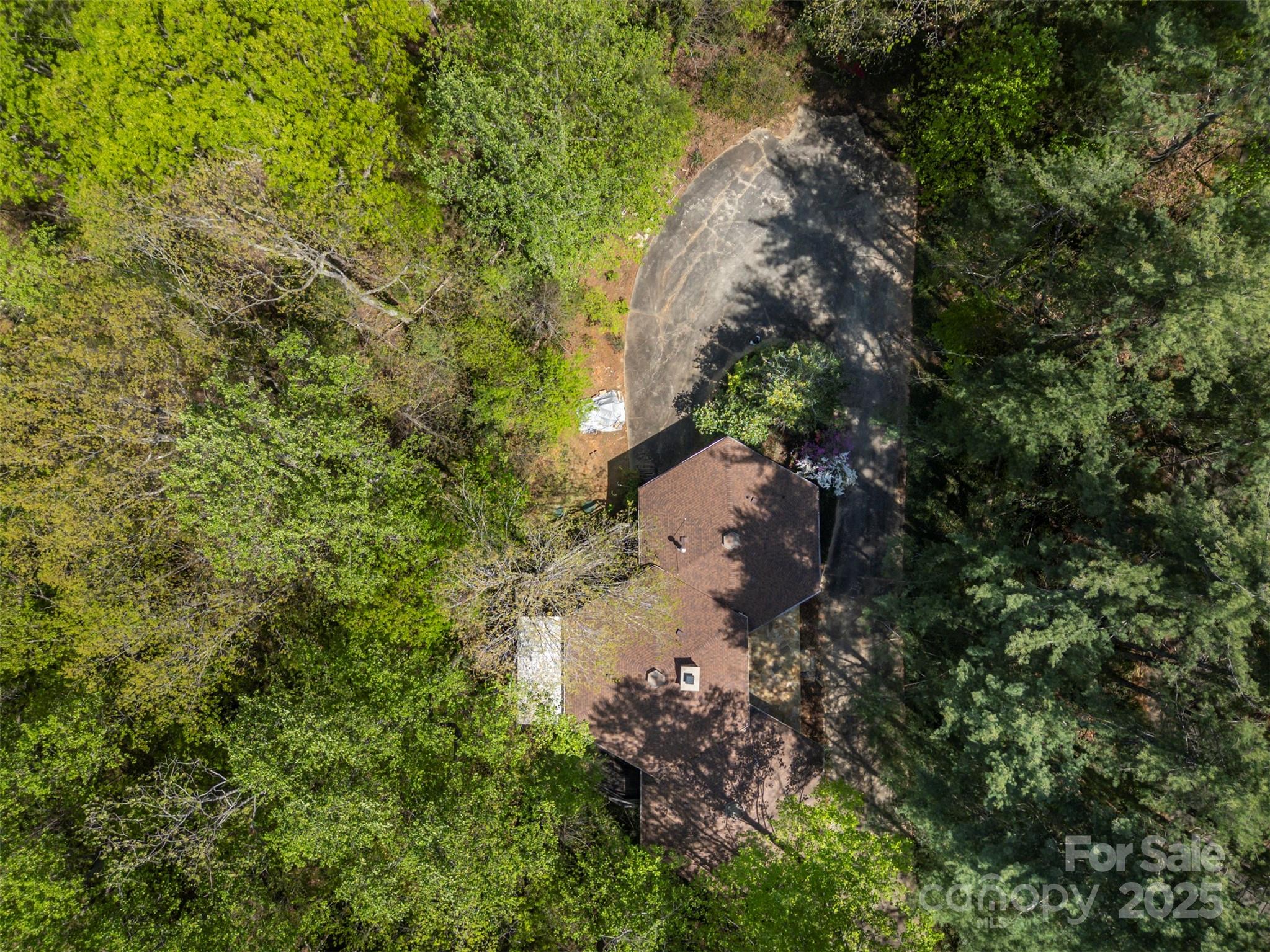 320 Hillswick Road Tryon, NC 28782 - Photo 29 of 31