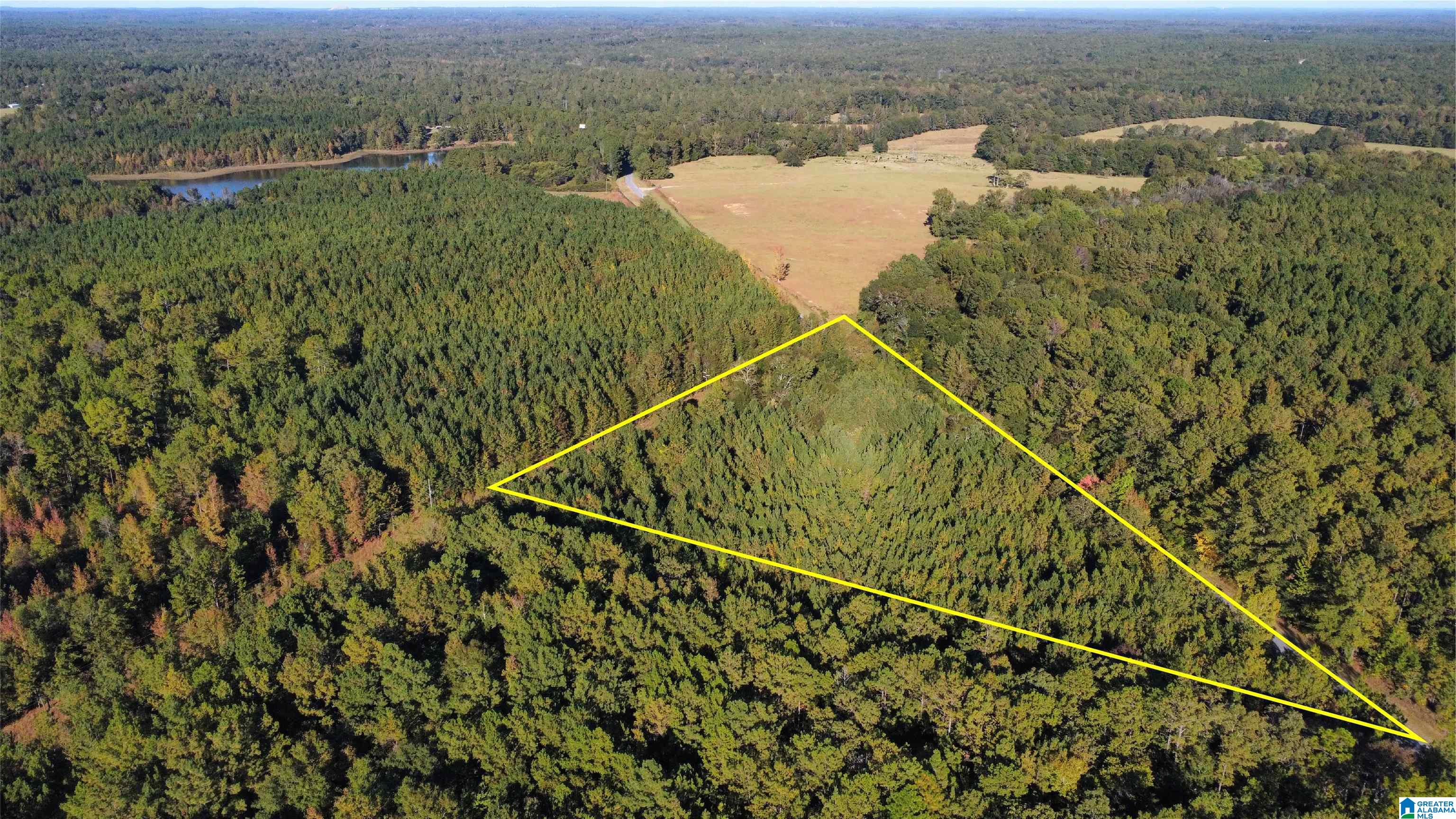 2 Highway 37, Unit 2 Notasulga, AL 36866 - Photo 2 of 7