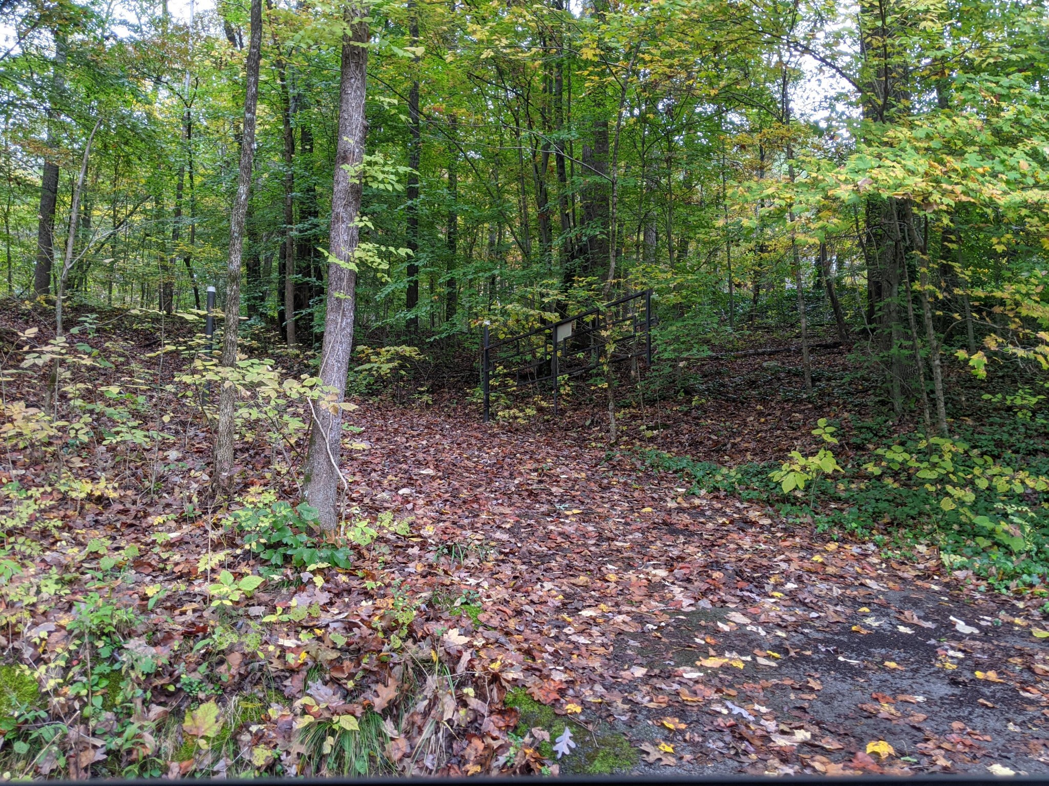 0 Old Chattanooga Valley Road Flintstone, GA 30725 - Photo 1 of 1 Gallery Image 1