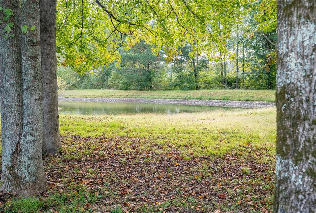 611 Couch Road Dawsonville, GA 30534 - Photo 24 of 26 a view of a large yard with large trees