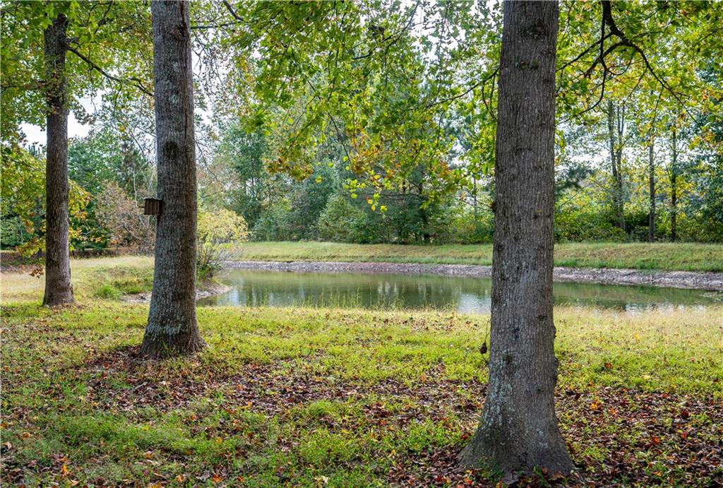 611 Couch Road Dawsonville, GA 30534 - Photo 25 of 26 a view of lake with a trees