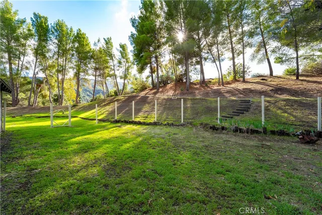 a view of a garden with plants