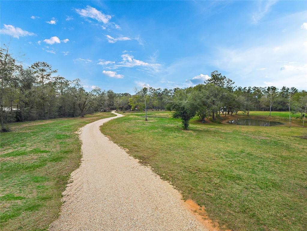 79424 North Willie Road Folsom, LA 70437 - Photo 5 of 19 Gallery Image 5