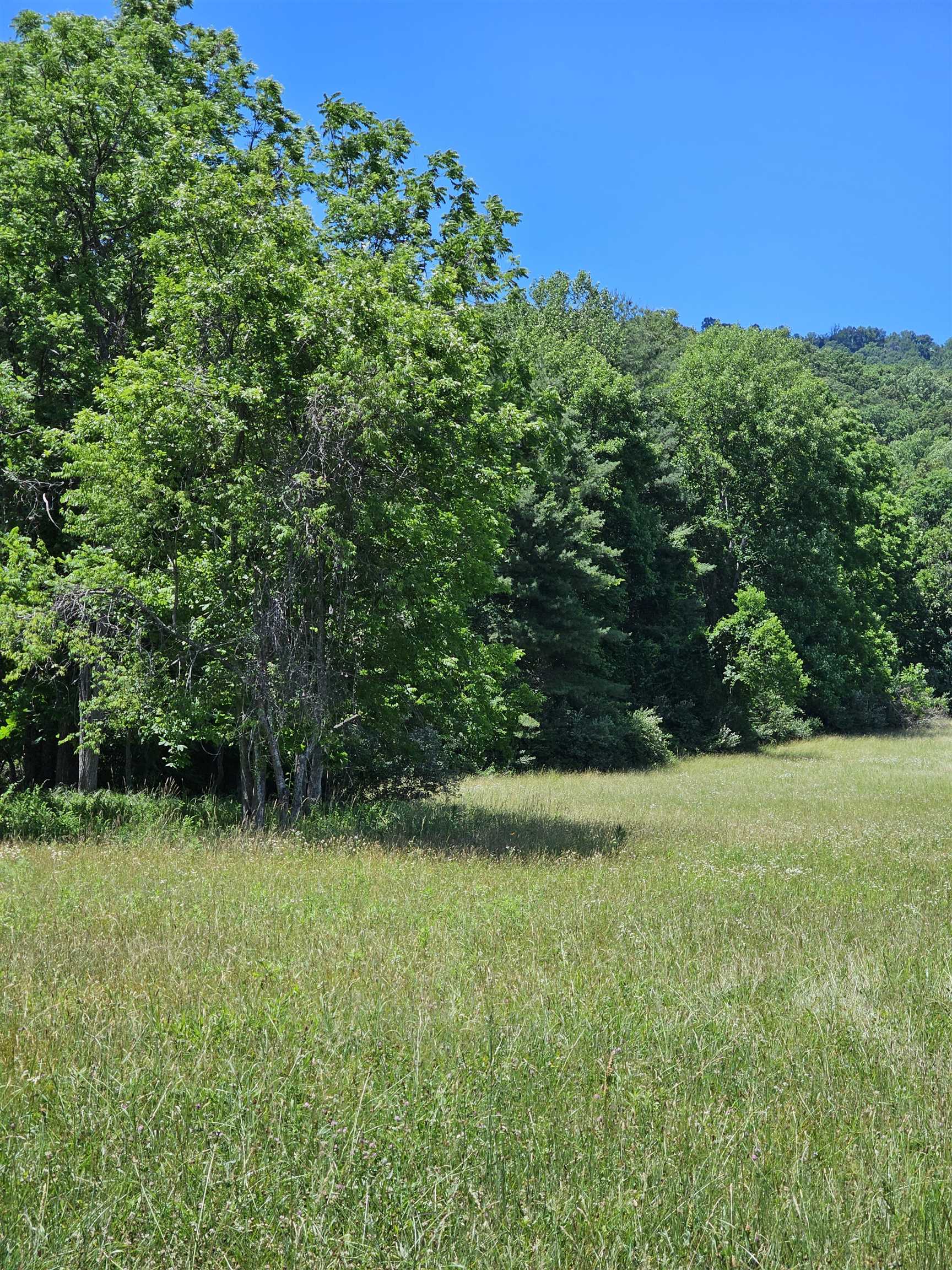 2105 Coles Mountain Road Covington, VA 24426 - Photo 50 of 66
