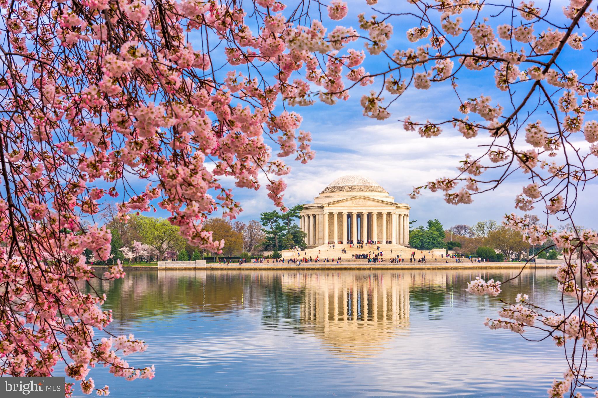 7926 Tower Court Road Severn, MD 21144 - Photo 31 of 32 DC