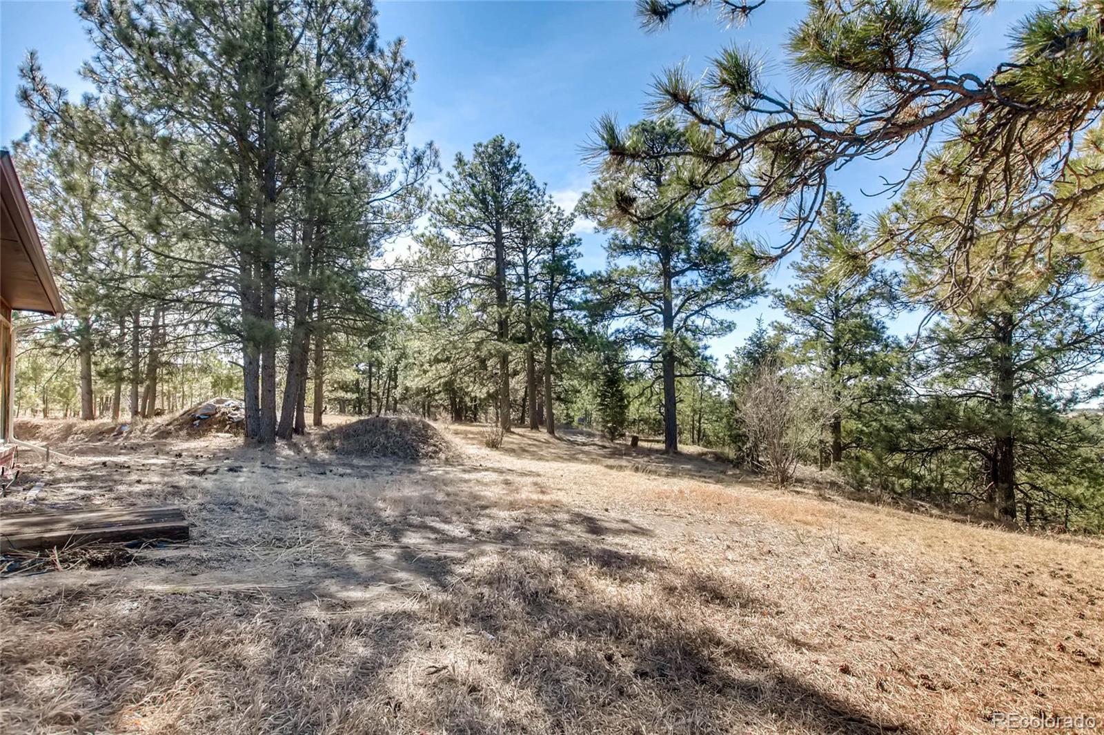 18755 Ranch Hand Road Peyton, CO 80831 - Photo 23 of 27 a view of a forest with trees