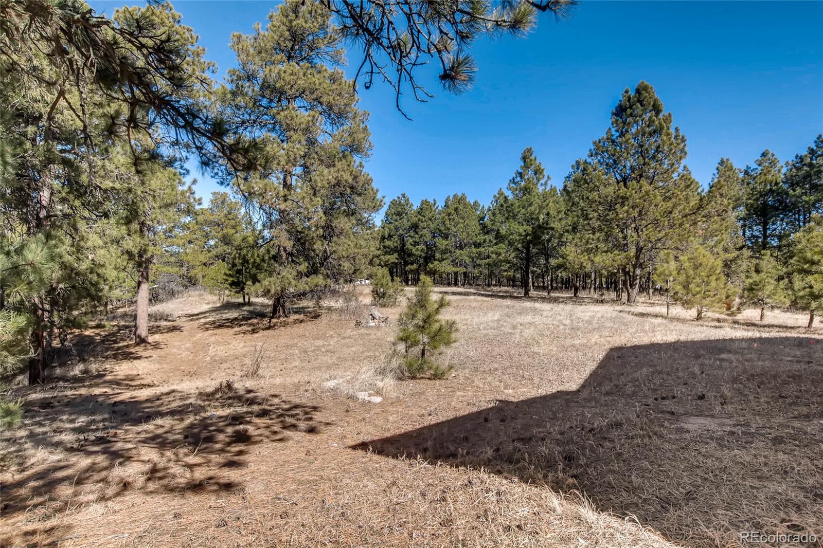 18755 Ranch Hand Road Peyton, CO 80831 - Photo 24 of 27 a view of a yard with a tree