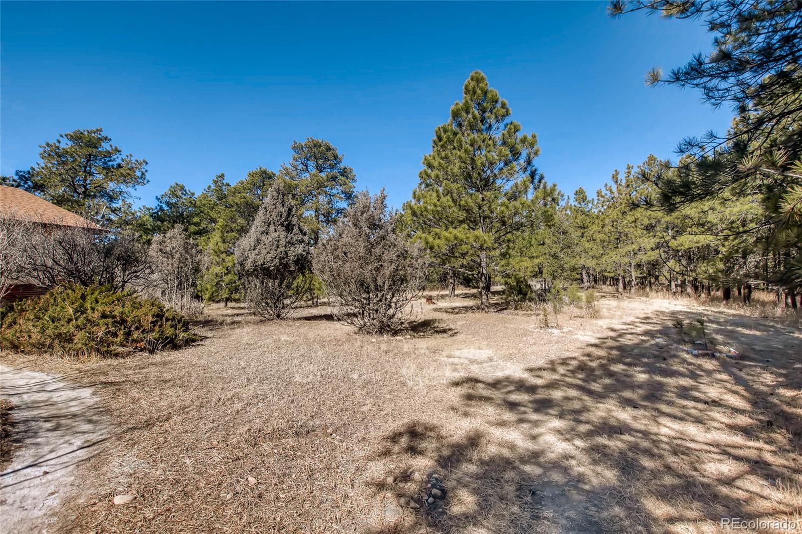 18755 Ranch Hand Road Peyton, CO 80831 - Photo 27 of 27 a view of a yard with a tree