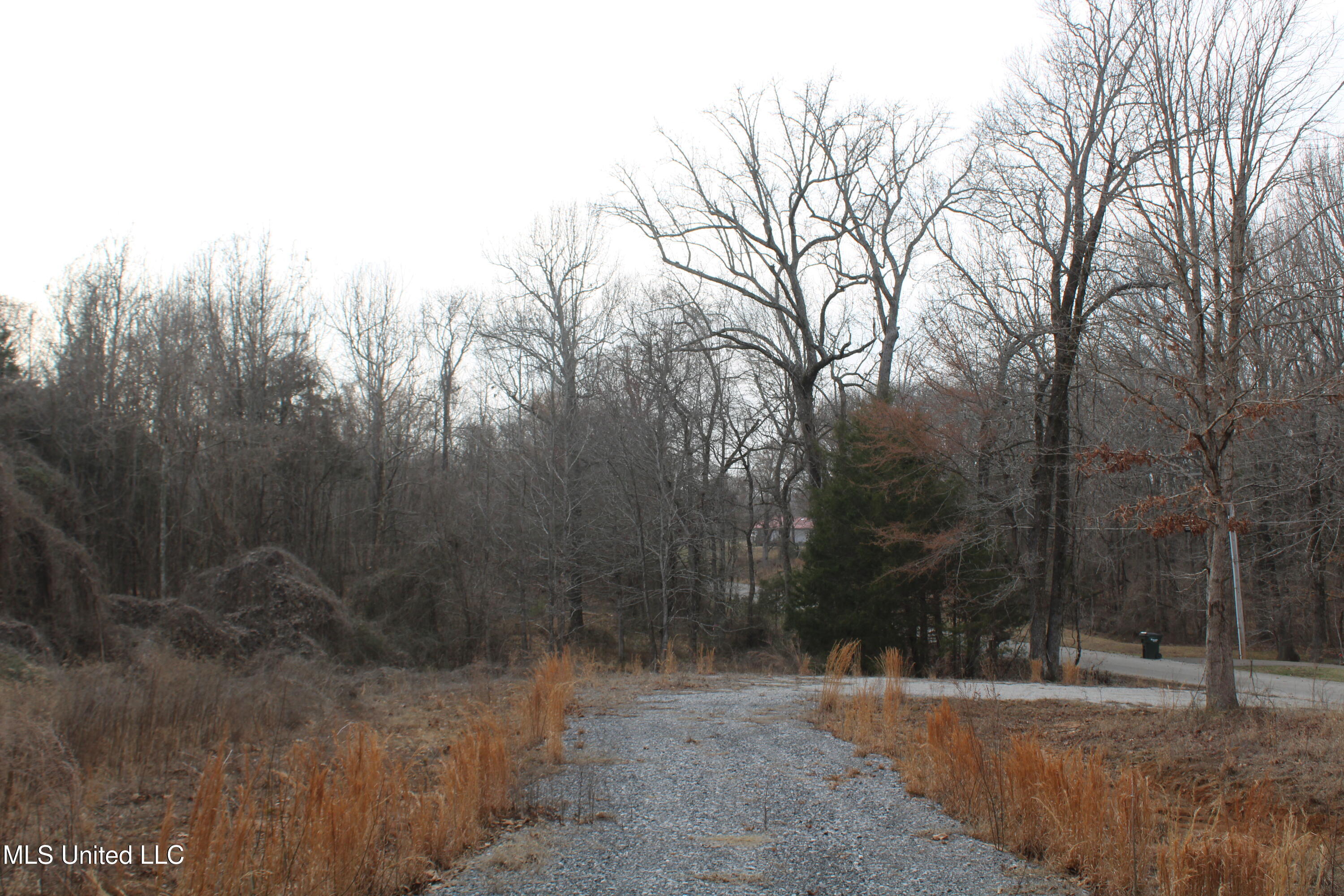 797 Gardner Road Holly Springs, MS 38635 - Photo 1 of 22 land