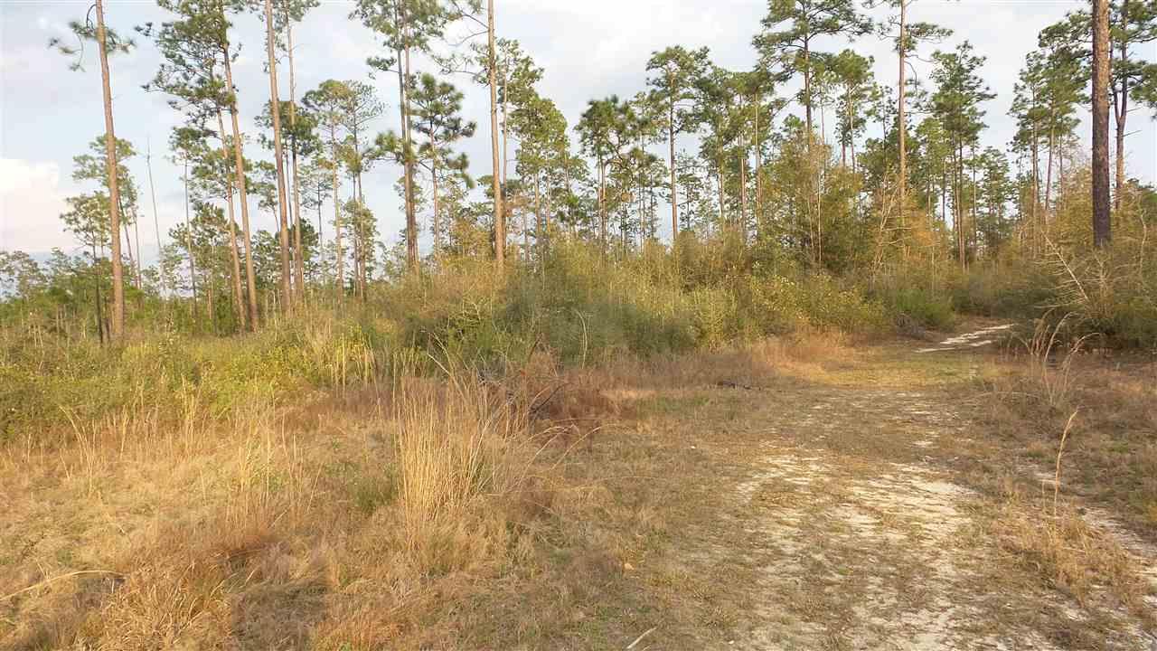 3 Lewis Road Milton, FL 32570 - Photo 1 of 27 Gallery Image 1