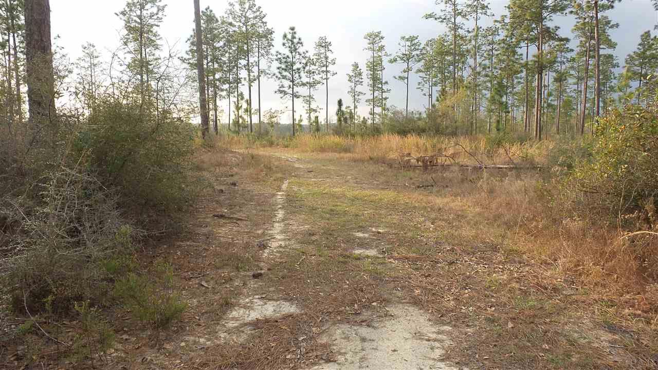 3 Lewis Road Milton, FL 32570 - Photo 11 of 27 Gallery Image 11