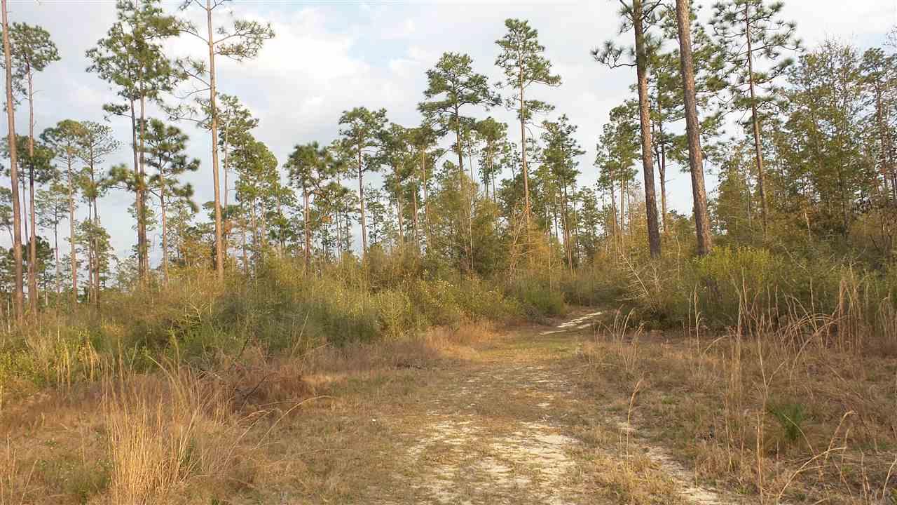 3 Lewis Road Milton, FL 32570 - Photo 14 of 27 Gallery Image 14