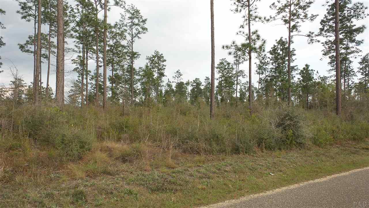 3 Lewis Road Milton, FL 32570 - Photo 16 of 27 Gallery Image 16