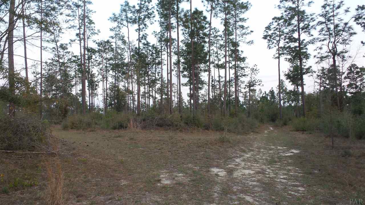 3 Lewis Road Milton, FL 32570 - Photo 22 of 27 Gallery Image 22