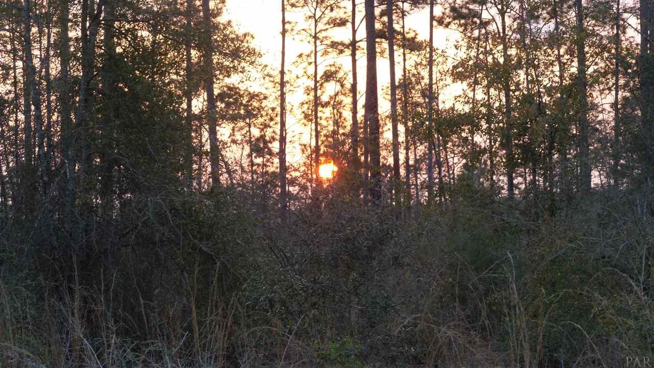 3 Lewis Road Milton, FL 32570 - Photo 23 of 27 Gallery Image 23