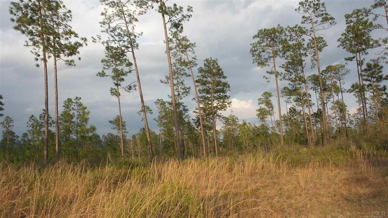 3 Lewis Road Milton, FL 32570 - Photo 6 of 27 Gallery Image 6