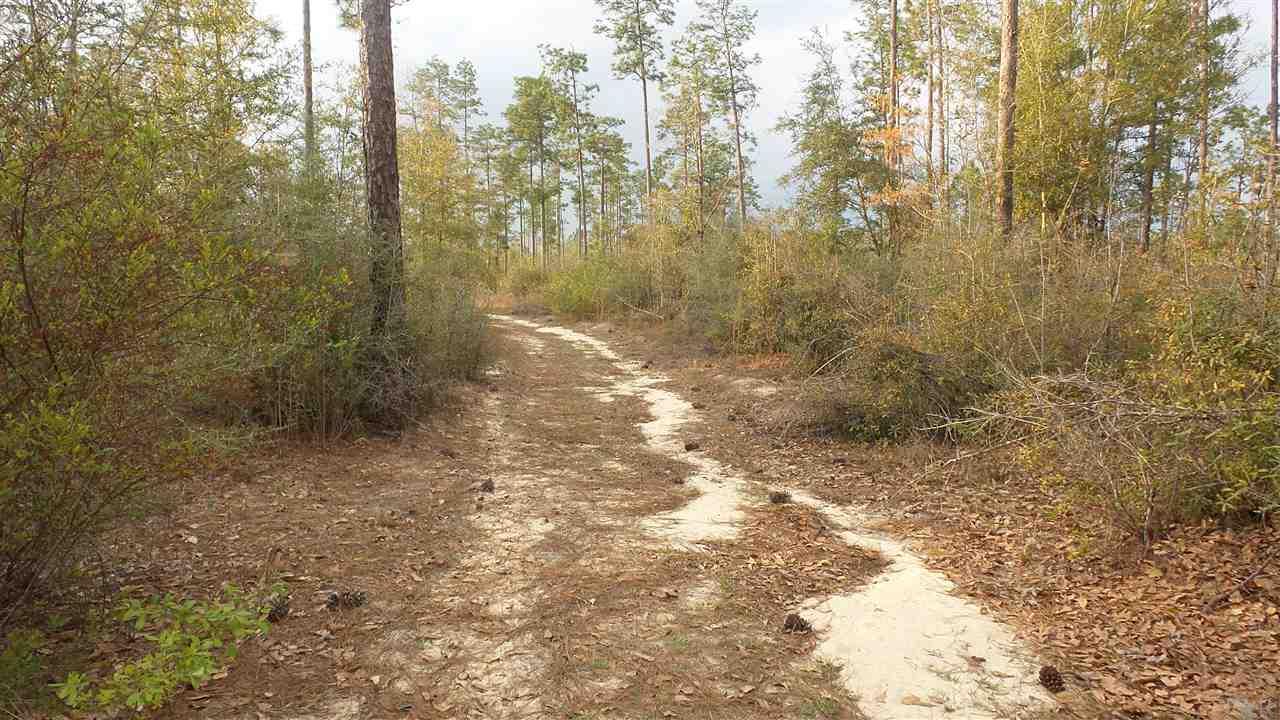 3 Lewis Road Milton, FL 32570 - Photo 8 of 27 Gallery Image 8