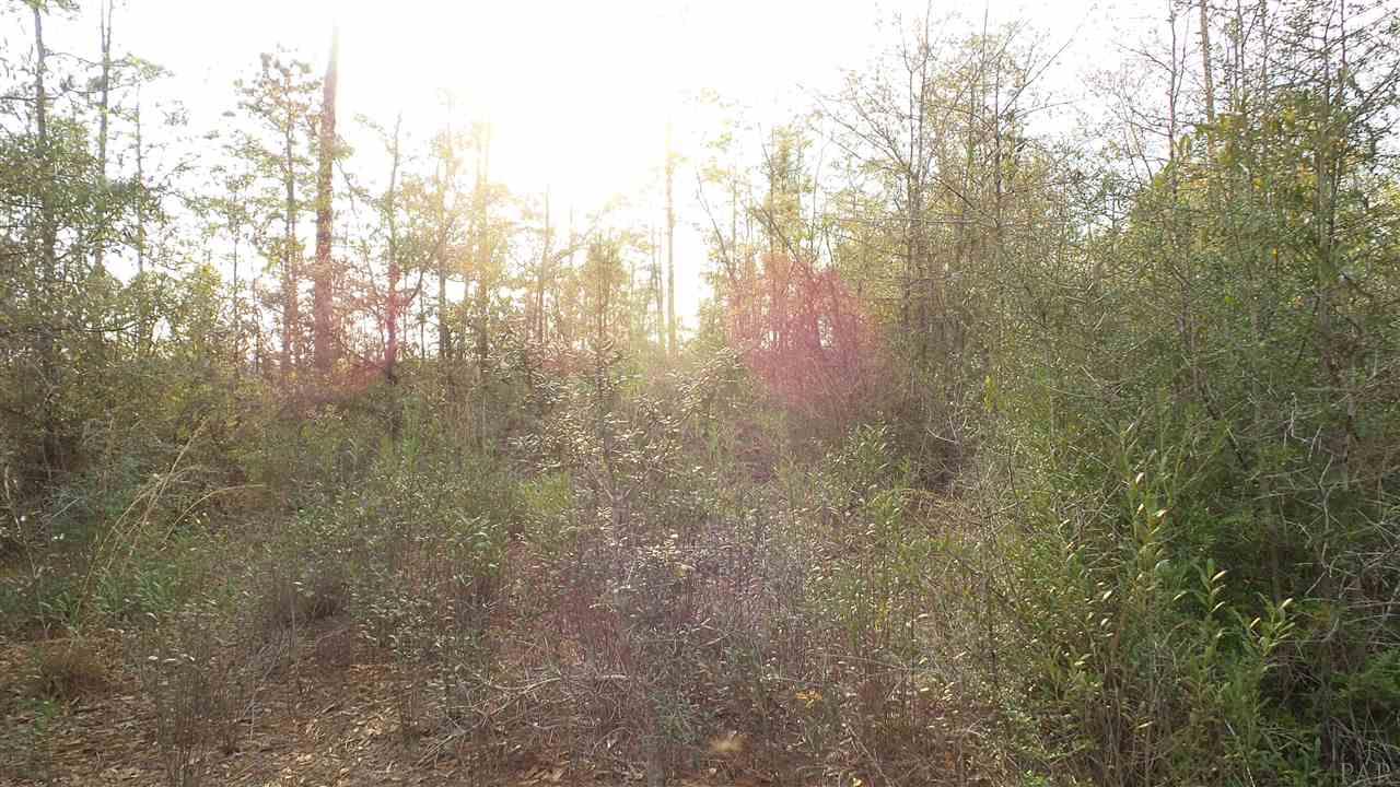 3 Lewis Road Milton, FL 32570 - Photo 9 of 27 Gallery Image 9