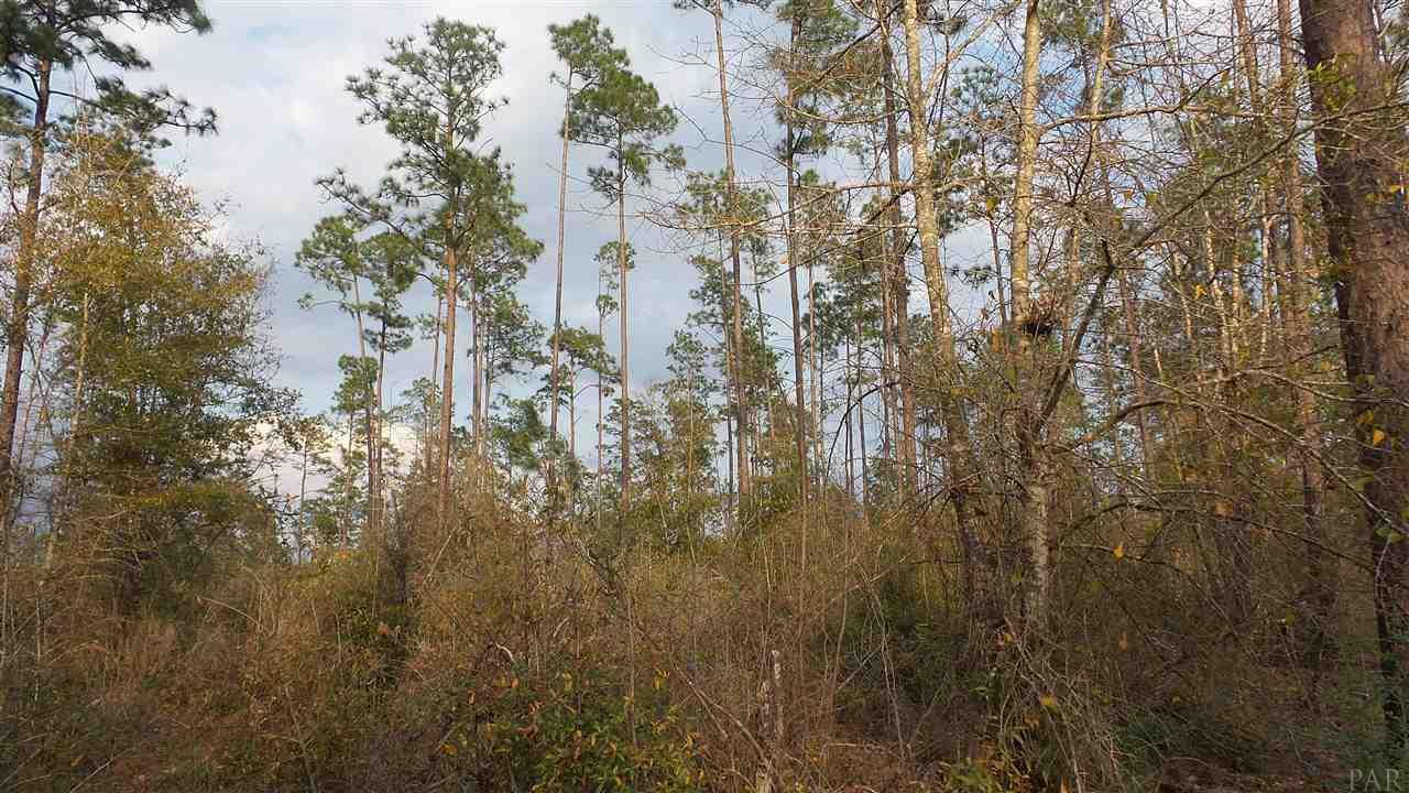 3 Lewis Road Milton, FL 32570 - Photo 10 of 27 Gallery Image 10