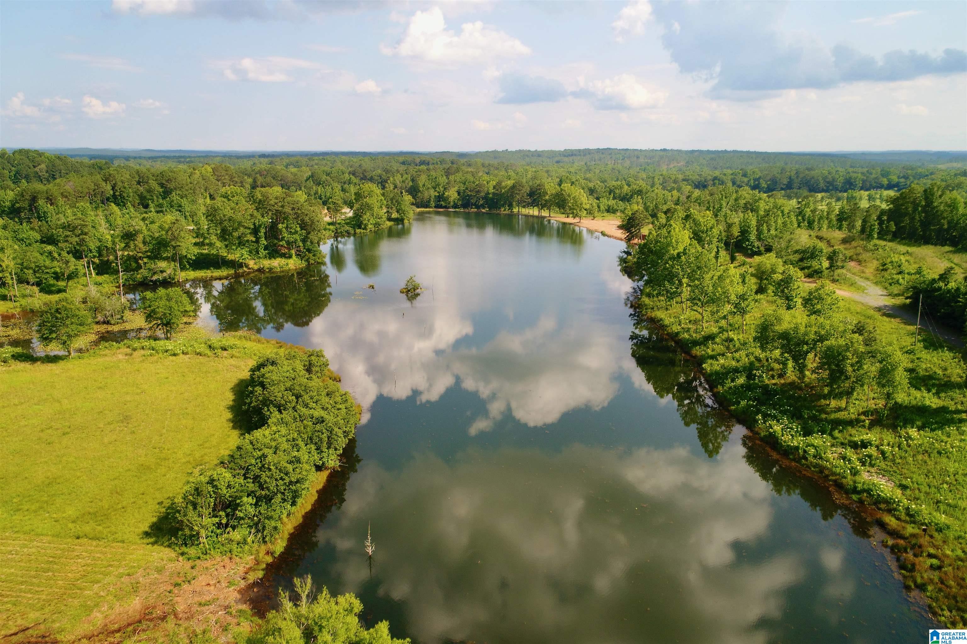 0 Burton Road, Unit 16 Shelby, AL 35143 - Photo 4 of 16