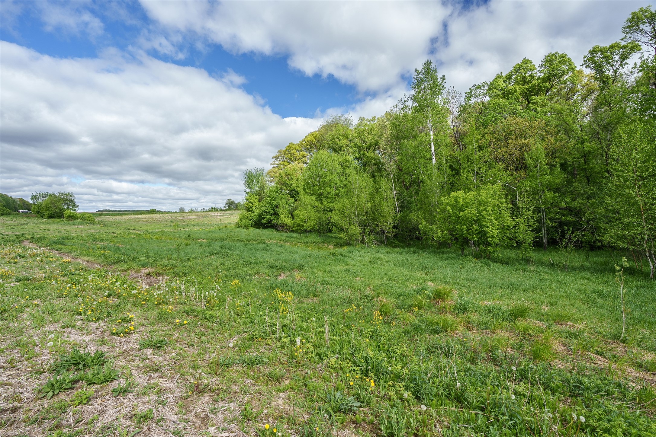 21.37 A McGower Road Fairchild, WI 54741 - Photo 12 of 14