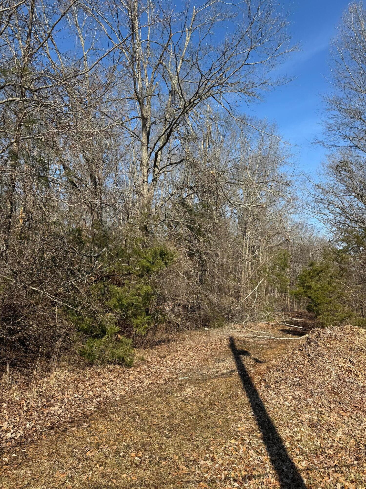 New Hope Corinth, MS 38834 - Photo 1 of 2 Gallery Image 1