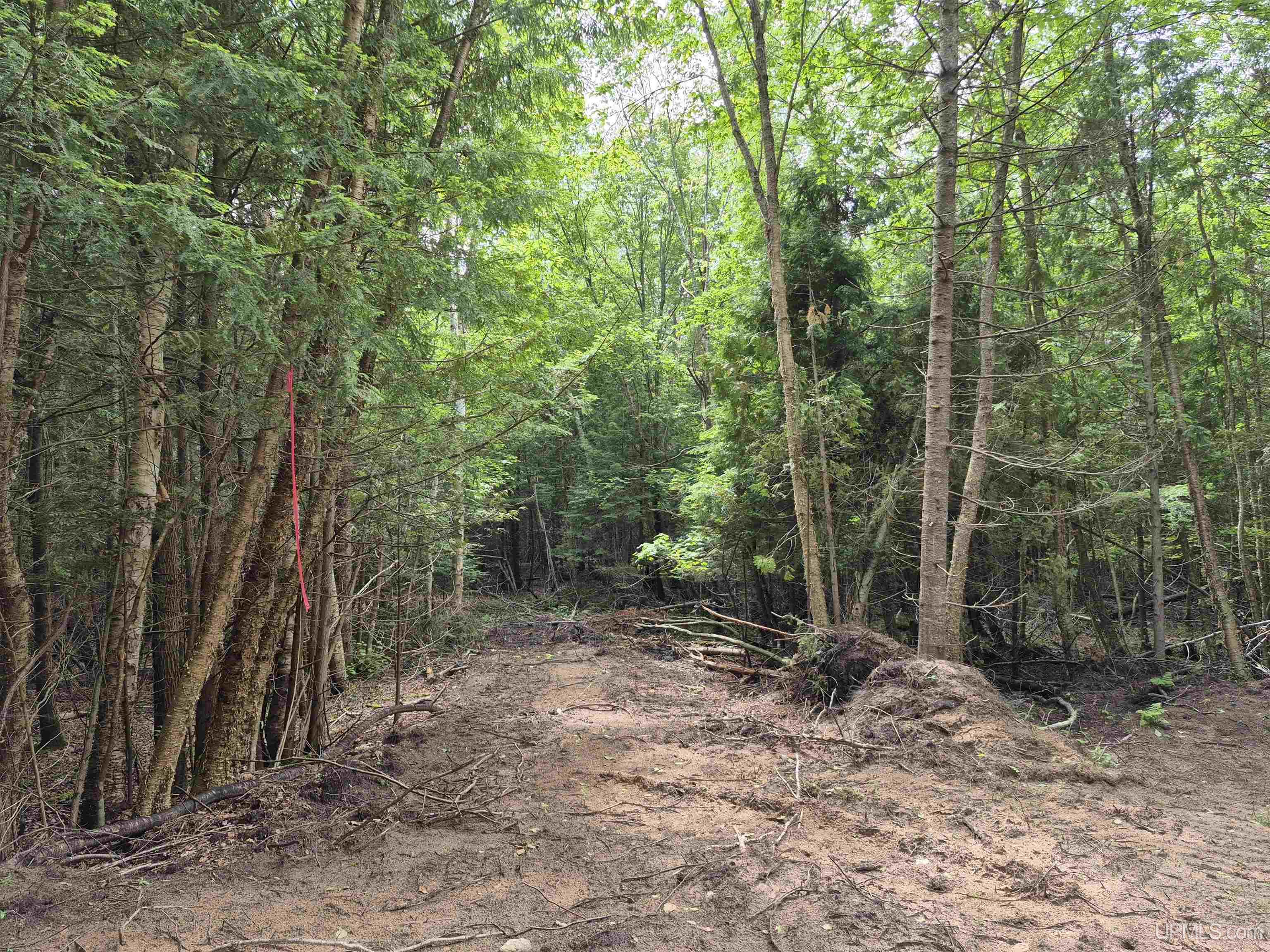 80-acres Off Little Harbor Road Manistique, MI 49854 - Photo 12 of 14 Gallery Image 12
