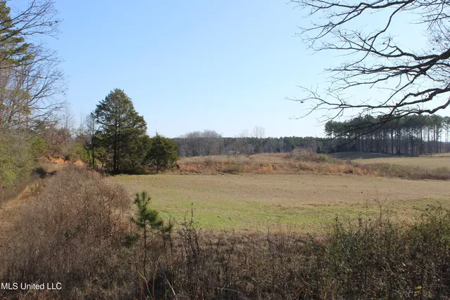 $187,500 | 122 County Road 125, Bruce, MS 38915