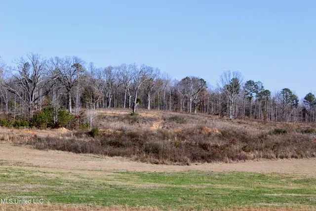 $187,500 | 122 County Road 125, Bruce, MS 38915