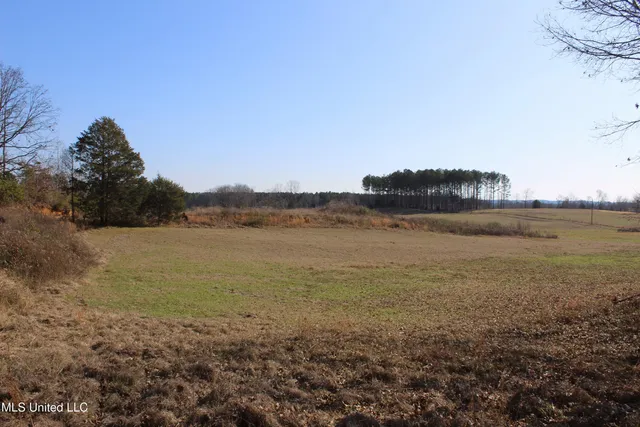 $187,500 | 122 County Road 125, Bruce, MS 38915