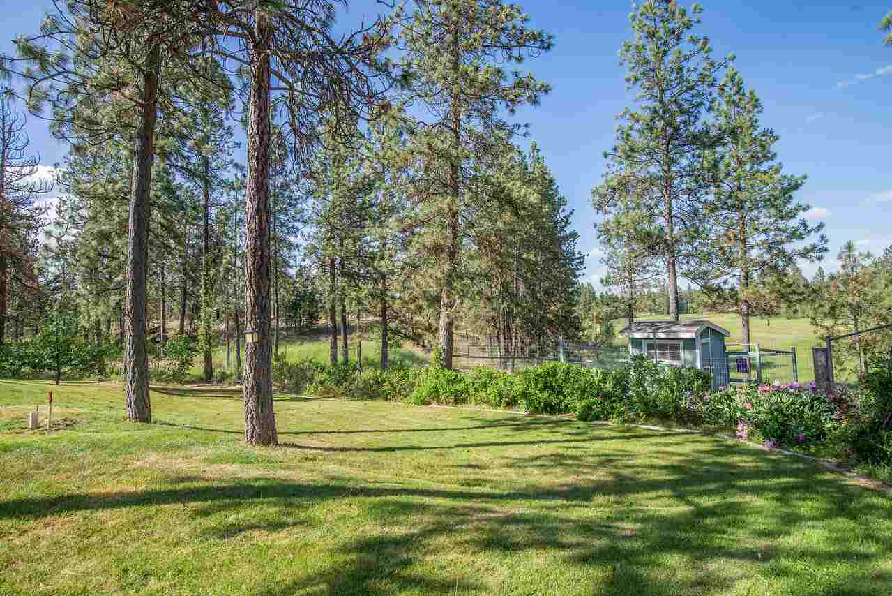 24533 South Pine Springs Road Cheney, WA 99004 - Photo 18 of 20