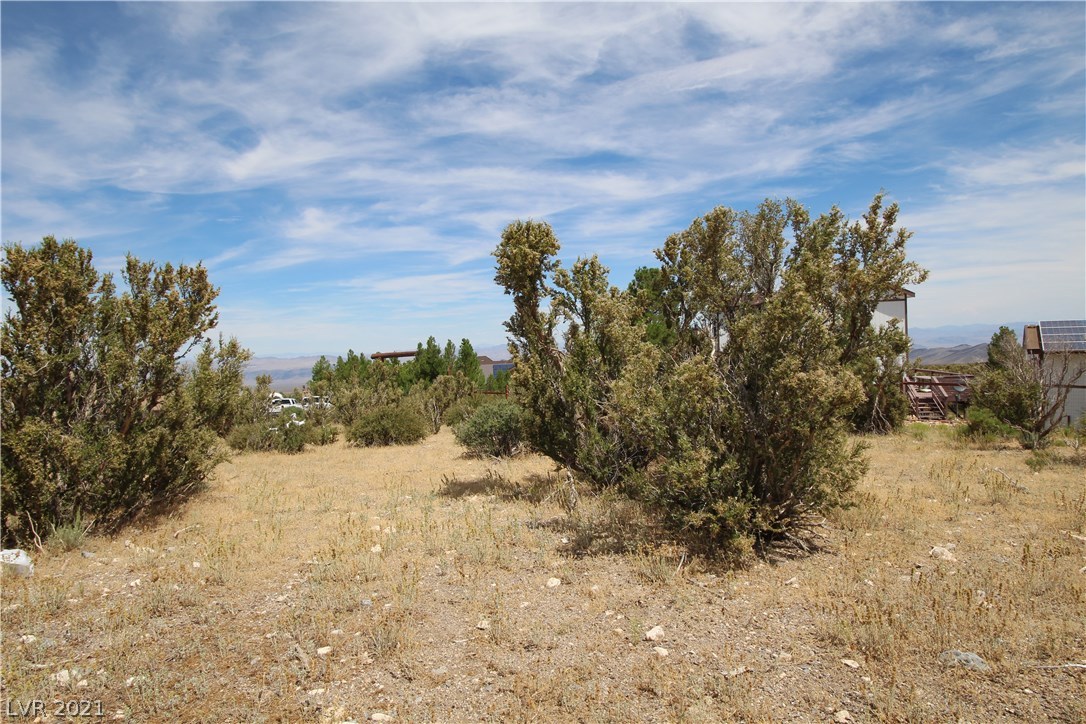 34 Cedar Road Cold Creek, NV 89124 - Photo 24 of 50 Gallery Image 24