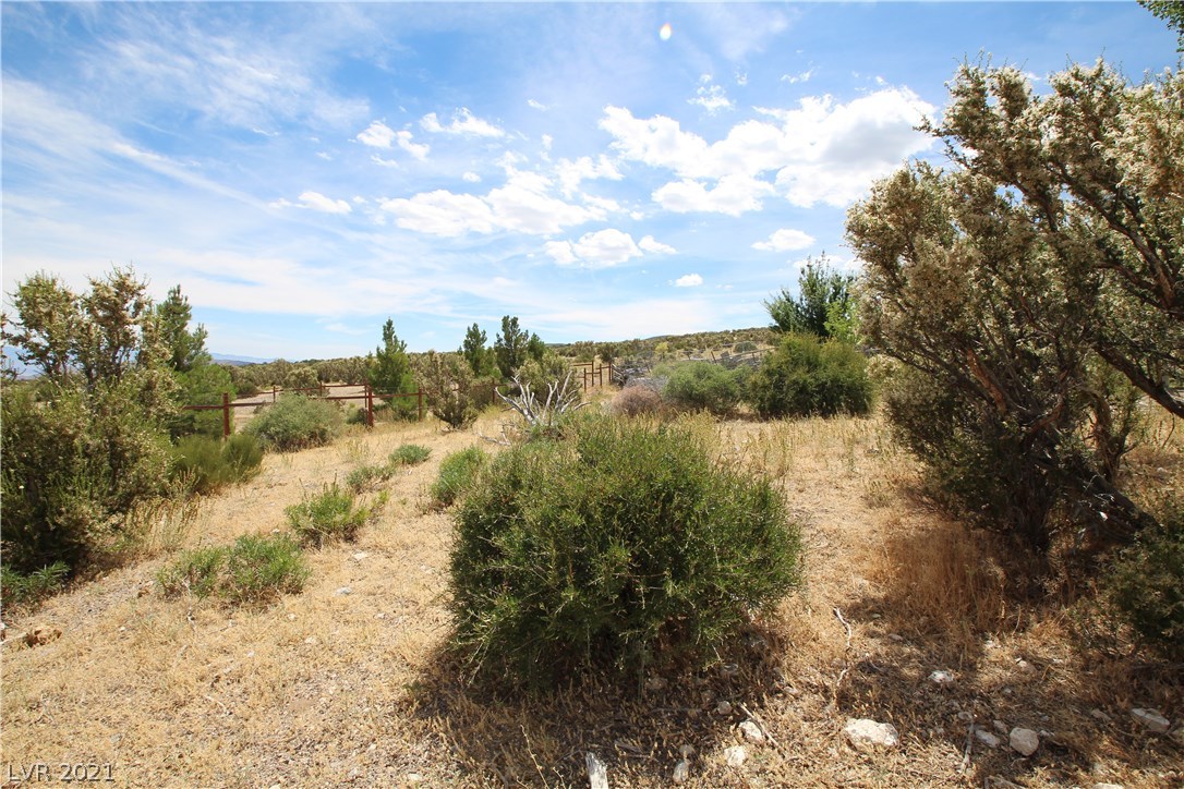 34 Cedar Road Cold Creek, NV 89124 - Photo 26 of 50 Gallery Image 26
