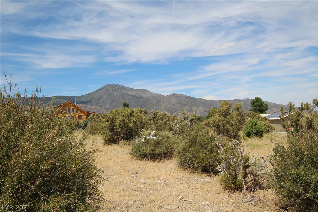 34 Cedar Road Cold Creek, NV 89124 - Photo 27 of 50 Gallery Image 27