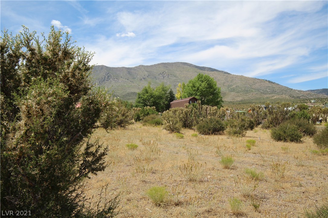 34 Cedar Road Cold Creek, NV 89124 - Photo 28 of 50 Gallery Image 28