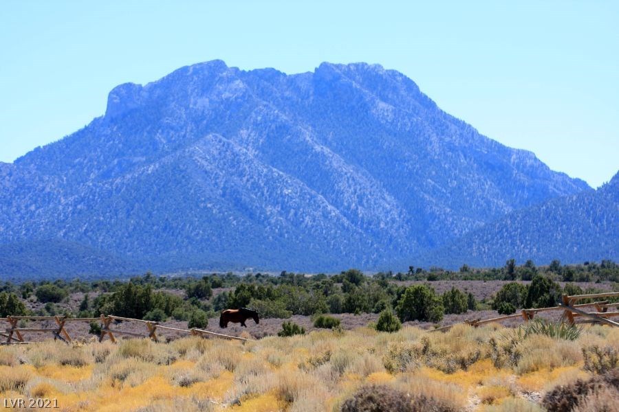 34 Cedar Road Cold Creek, NV 89124 - Photo 42 of 50 Gallery Image 42
